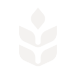 Заполнитель