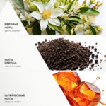 Диффузор стандарт Тайный советник, 50 мл — изображение 10